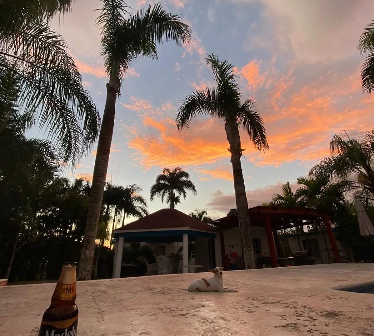 La Joya Villa El Cocotero הרפובליקה הדומיניקנית